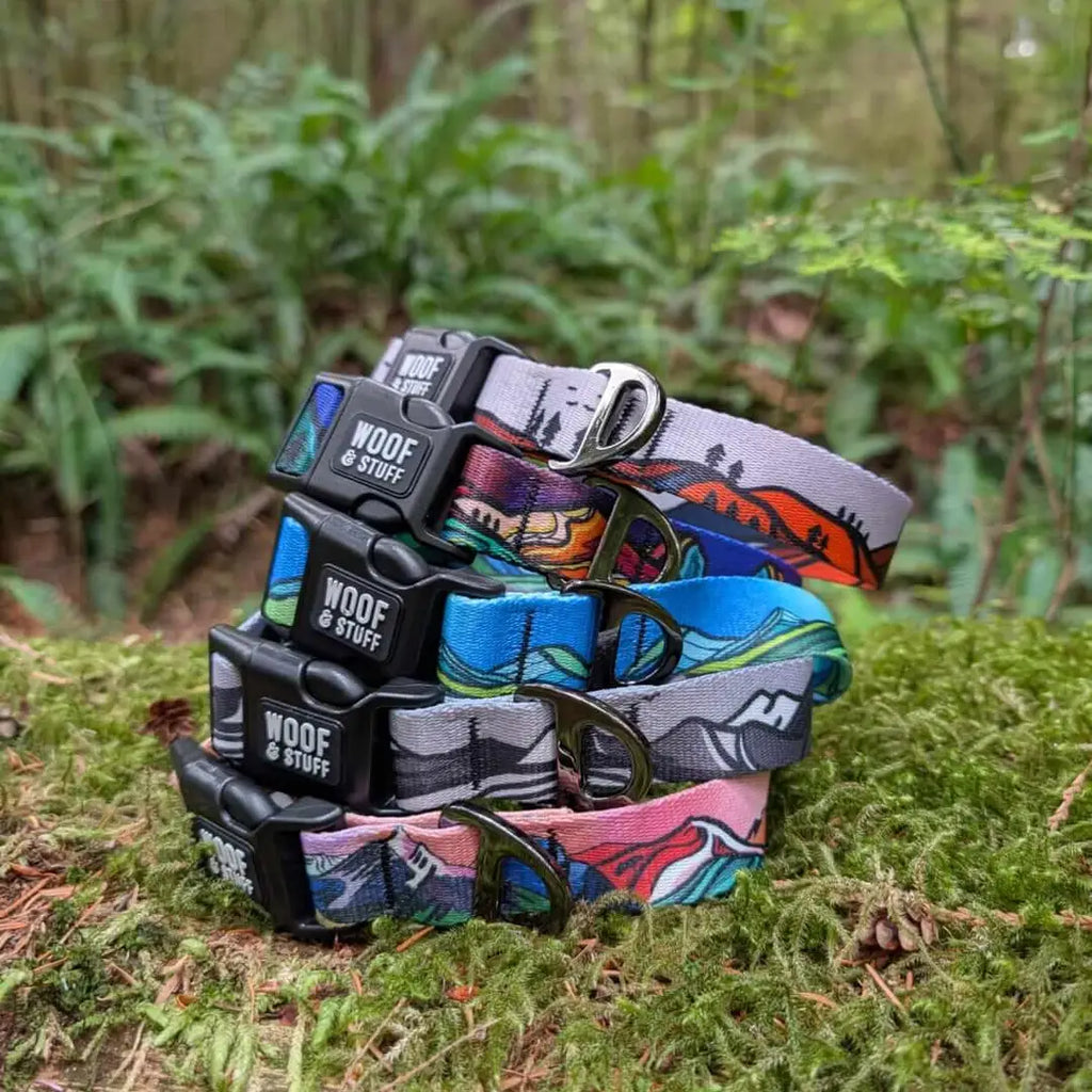 Le Collier Midnight Sun – Collier Aventure pour Chien | Woof & Stuff