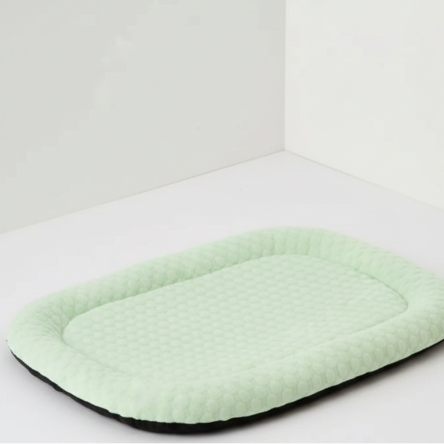 Tapis rafraîchissant forme ovale vert menthe