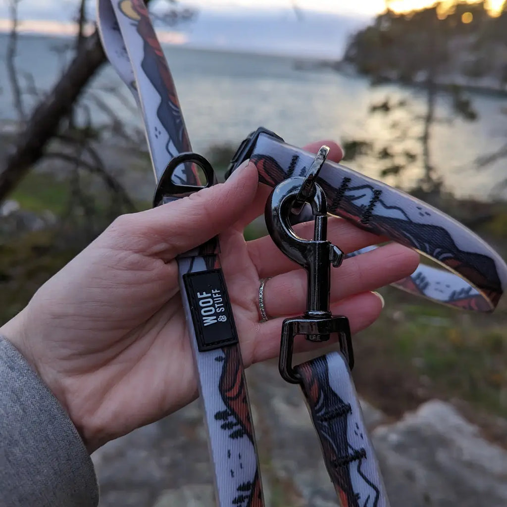 Le Collier Imperméable Wanderlust – Collier Aventure Waterproof pour Chien | Woof & Stuff